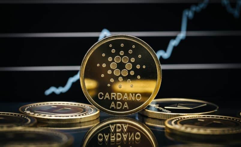 Detailed Guide to Understand Cardano and How it Works